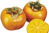 Sharon Fruit Agrexco