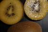 Unibo Bologna Udine new gold kiwifruit Italy