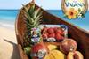 SunLucar Vaiana promo header 2026