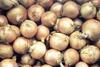 Onion quality is up, but sizes are down warns the British Onion Producers' Association