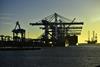 APMT at Port of Rotterdam credit Danny Cornelissen