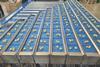 Sorma LCP-128A grape weigher