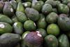 Avocados from Mexico on sale in US supermarket MUST CREDIT Scott Habermann - Adobe Stock