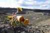 csm_Bild_Steinbruch_Kirsch_et_al_Fotografin_Annemarie_Wurz_fa8ed873c2