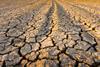 Drought