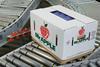 NZ New Zealand Mr Apple crate box packing