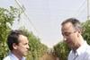 Hernan Cortes (pictured right) believes the crop could be the best for four years