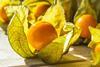 Physalis Adobe Stock