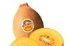 Zespri Gold excels in vitamin C study