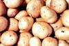potatoes