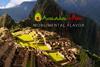 Avocados from Peru - Monumental Flavor