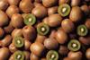 Chilean Kiwifruit
