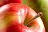 Niederlande: Kleinere Apfelernte erwartet – Birnenmengen auf Vorjahresniveau