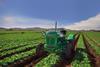 Florette tractor