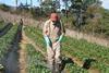 man spraying crops