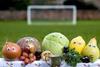 Eat in Colour United kicks off