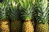 Generic pineapples
