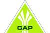 NZ bridges international GAP