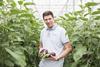 Erzeuger Dennis van Luijk Foto: The Greenery
