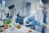 Tomato research laboratory Adobe Stock