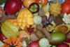 JO Sims hopes the agreement with Westfalia allows the company to meet customer demands for exotic fruit