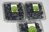 camposol blueberries