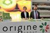 Origine Group