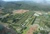 NZ Bay of Plenty kiwifruit