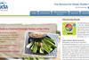 Duda simple snacking website
