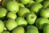 Scripps's Greenstar apples