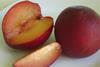 South Africa plums