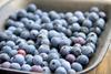 Blueberries in tray