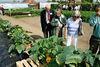 Patio veg proves popular