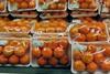 Korea citrus