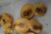 Loquats seized by the RPA in the case