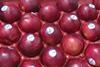 Chilean plums Oppy