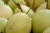 Ya pear