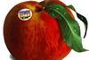 PGI Romagna peach