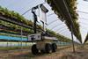 Robots use cameras to assist with a range of jobs on UK berry farms