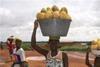 Producers slice up mango market