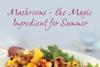 Read the magic of mushrooms