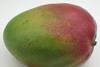 Tesco introduces mini mangoes