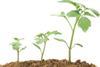 AgroFresh LandSpring