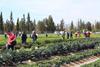 Open Day 2017 (3)