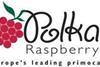 The Polka raspberry will not be the last success for Hargreaves, which has committed itself to a long-term breeding programme