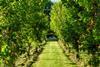 2025-news-new-funding-for-research-to-support-farmers-and-growers