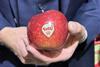 Tutti apple VentureFruit