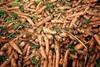 Organic waste tackled