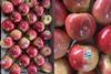 Sunrise Magic apples Fruit Australia