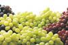 Grape supplies going strong